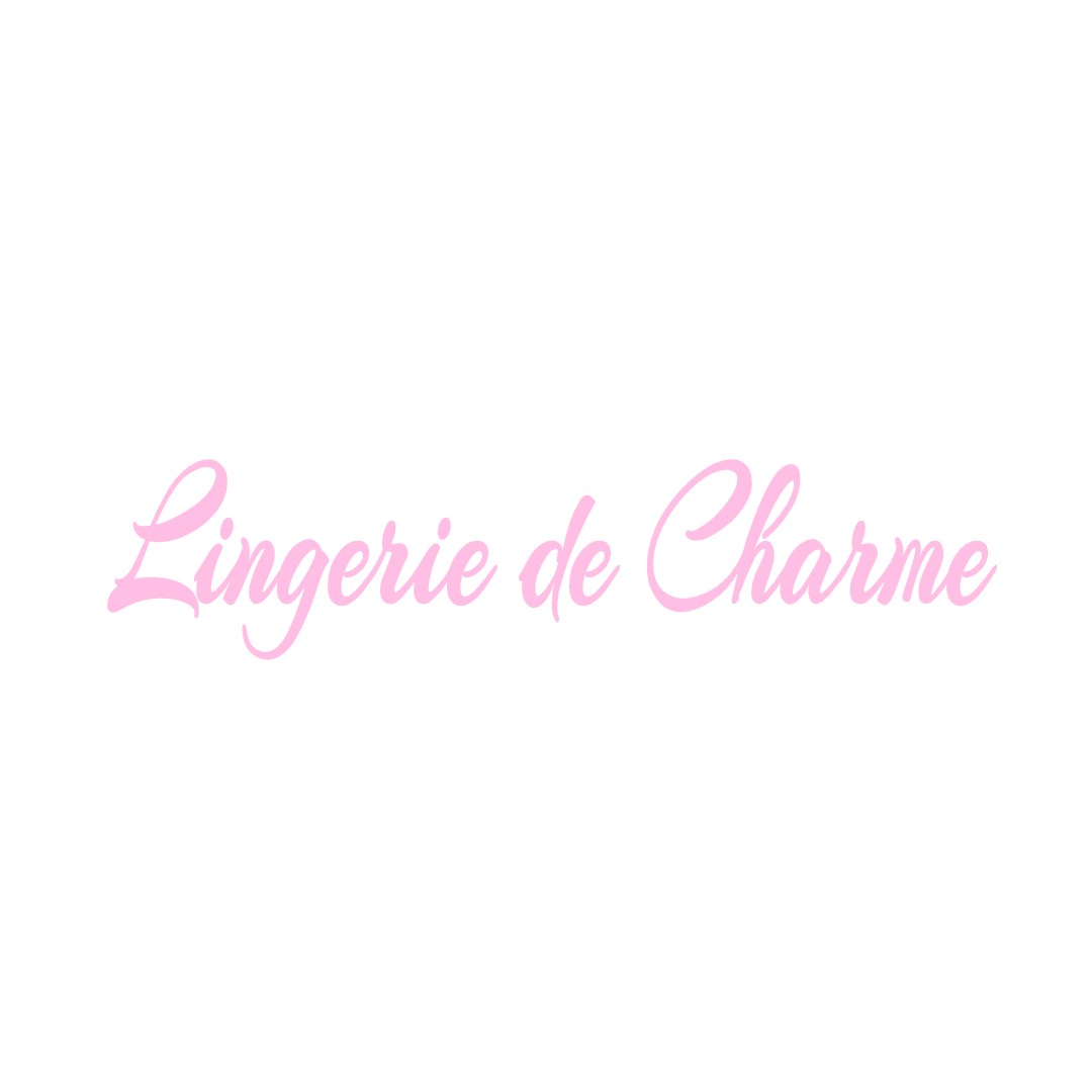 LINGERIE DE CHARME VICQ-EXEMPLET